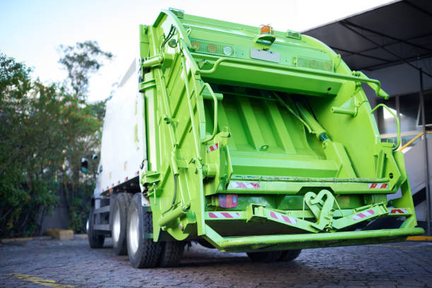 Yard Cleanup Services in Dulles Town Center, VA